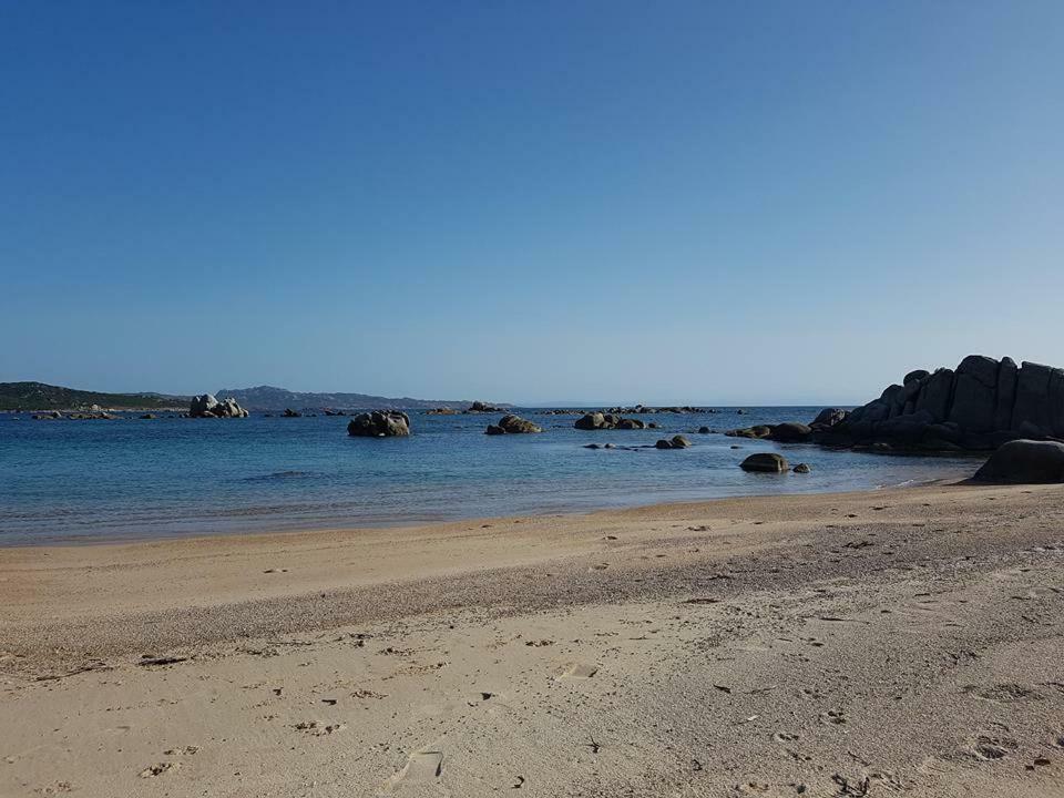 Figari Figari (Corsica)